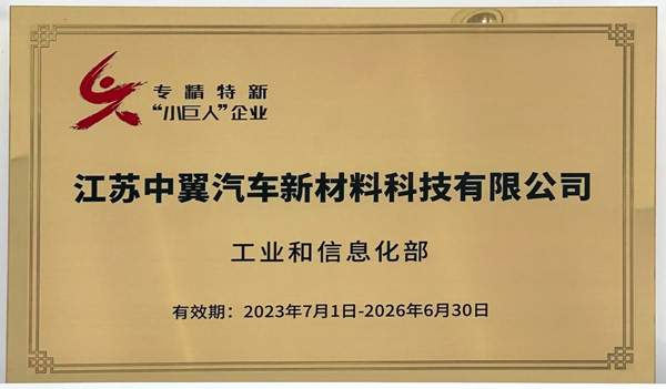 “小巨人”企业